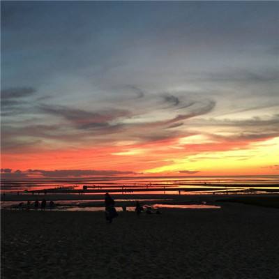 im电竞平台下载手机版