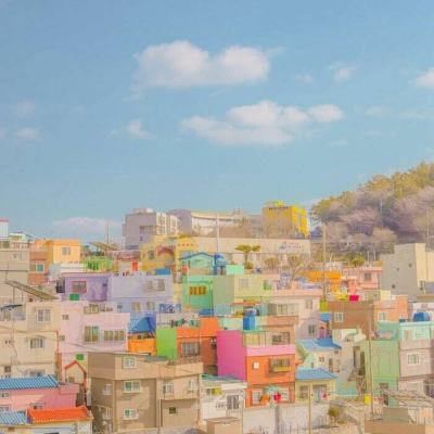 华体会登录手机版下载手机版