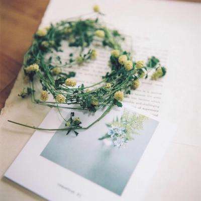 2023年香港资料精准app下载