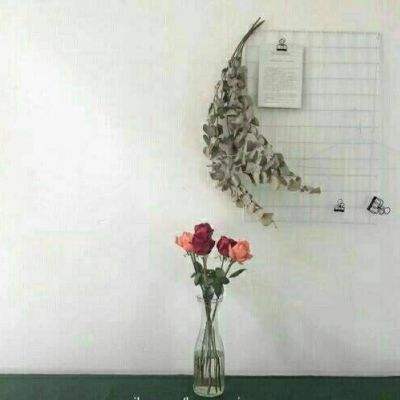 开云·kaiyun体育app下载