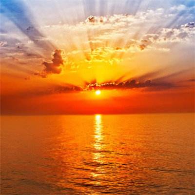 beat365手机app下载